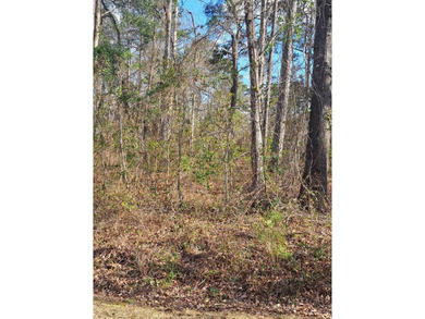 Looking to build your dream home in a golf course area. Take on Santee National Golf Course in South Carolina - for sale on GolfHomes.com, golf home, golf lot