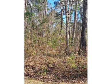 Looking to build your dream home in a golf course area. Take on Santee National Golf Course in South Carolina - for sale on GolfHomes.com, golf home, golf lot