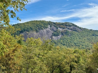 Nestled within the beautiful community of Lonesome Valley and on Natures Walk At Chinquapin in North Carolina - for sale on GolfHomes.com, golf home, golf lot