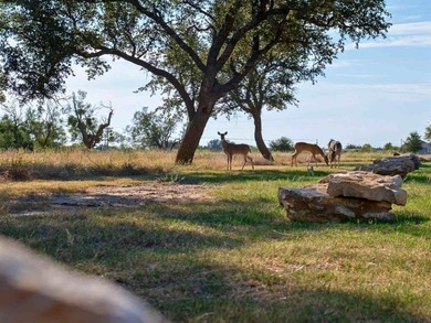 OWNER-FINANCING AVAILABLE!! Discover the perfect spot for your on The Cliffs Resort in Texas - for sale on GolfHomes.com, golf home, golf lot