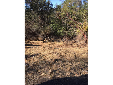 Feels like your on the water. Lot has million dollar views on The Club at Copper Valley Golf Course in California - for sale on GolfHomes.com, golf home, golf lot