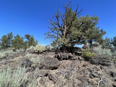 This Four Peaks lot is close to all the resort action AND allows on  in Oregon - for sale on GolfHomes.com, golf home, golf lot