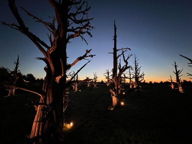 This Four Peaks lot is close to all the resort action AND allows on The Club At Pronghorn Golf Course in Oregon - for sale on GolfHomes.com, golf home, golf lot