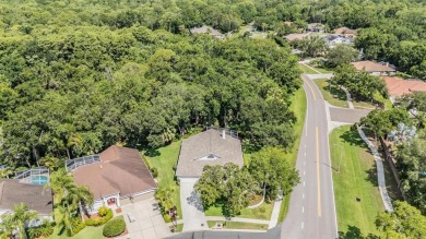 Don't miss this beautifully upgraded and meticulously maintained on East Lake Woodlands Country Club in Florida - for sale on GolfHomes.com, golf home, golf lot