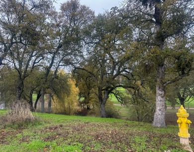 Beautiful Golf Course Lot Overlooking Hole 9, La Contenta Golf on La Contenta Golf Course in California - for sale on GolfHomes.com, golf home, golf lot