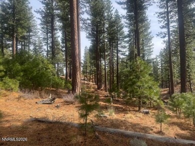 One of the seasonal creeks is your neighbor here. Where long on Clear Creek Tahoe in Nevada - for sale on GolfHomes.com, golf home, golf lot