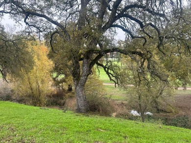 Beautiful Golf Course Lot Overlooking Hole 9, La Contenta Golf on La Contenta Golf Course in California - for sale on GolfHomes.com, golf home, golf lot