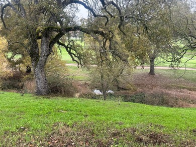 Beautiful Golf Course Lot Overlooking Hole 9, La Contenta Golf on La Contenta Golf Course in California - for sale on GolfHomes.com, golf home, golf lot