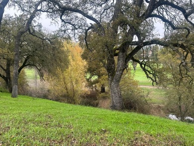 Beautiful Golf Course Lot Overlooking Hole 9, La Contenta Golf on La Contenta Golf Course in California - for sale on GolfHomes.com, golf home, golf lot