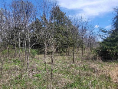 Gently sloping .90 acre corner lot convenient to all amenities on Eagle Ridge Inn and Resort in Illinois - for sale on GolfHomes.com, golf home, golf lot