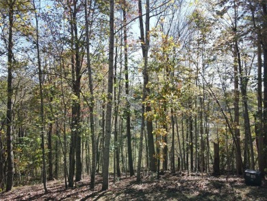 Superior View Lot in Trillium Village. After selective clearing on Trillium Links in North Carolina - for sale on GolfHomes.com, golf home, golf lot