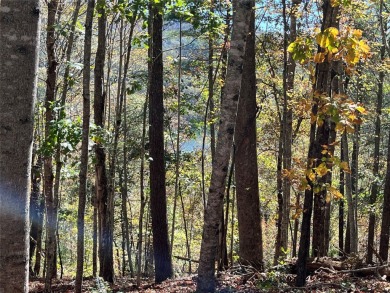 Superior View Lot in Trillium Village. After selective clearing on Trillium Links in North Carolina - for sale on GolfHomes.com, golf home, golf lot