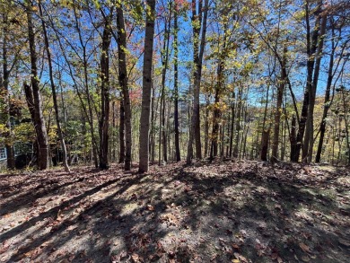 Superior View Lot in Trillium Village. After selective clearing on Trillium Links in North Carolina - for sale on GolfHomes.com, golf home, golf lot