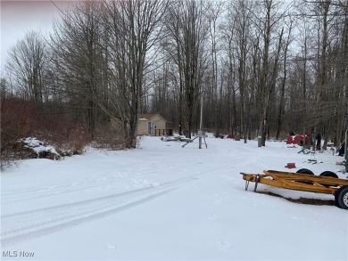 Welcome to this cozy 8 1/2 acre hunter/fishermen retreat located on Andover Golf Course in Ohio - for sale on GolfHomes.com, golf home, golf lot