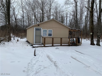 Welcome to this cozy 8 1/2 acre hunter/fishermen retreat located on Andover Golf Course in Ohio - for sale on GolfHomes.com, golf home, golf lot