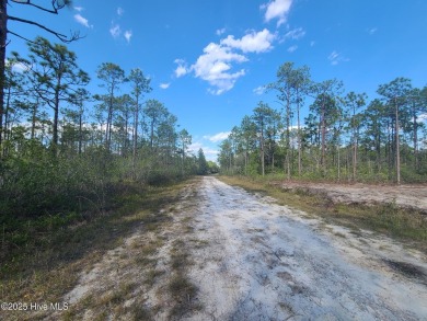 80'x200' residential lot in peaceful, area in the west area of on The Lakes Country Club in North Carolina - for sale on GolfHomes.com, golf home, golf lot