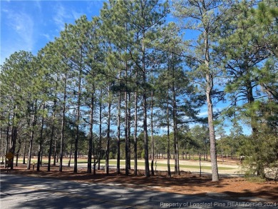 Investor and Handyman special! Views of the golf course from the on Whispering Pines Golf Course in North Carolina - for sale on GolfHomes.com, golf home, golf lot