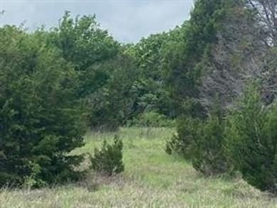 Great level lot, once trees cleared would have a view of the on White Bluff Resort - New Course in Texas - for sale on GolfHomes.com, golf home, golf lot