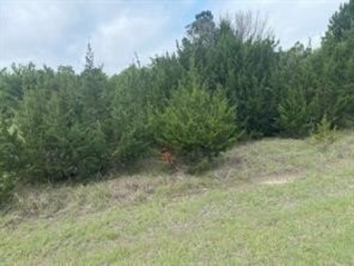 Great level lot, once trees cleared would have a view of the on White Bluff Resort - New Course in Texas - for sale on GolfHomes.com, golf home, golf lot
