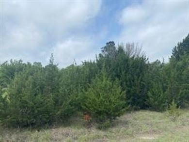 Great level lot, once trees cleared would have a view of the on White Bluff Resort - New Course in Texas - for sale on GolfHomes.com, golf home, golf lot