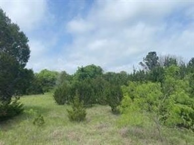 Great level lot, once trees cleared would have a view of the on White Bluff Resort - New Course in Texas - for sale on GolfHomes.com, golf home, golf lot