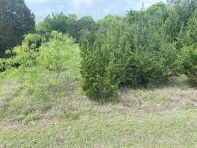 Great level lot, once trees cleared would have a view of the on White Bluff Resort - New Course in Texas - for sale on GolfHomes.com, golf home, golf lot
