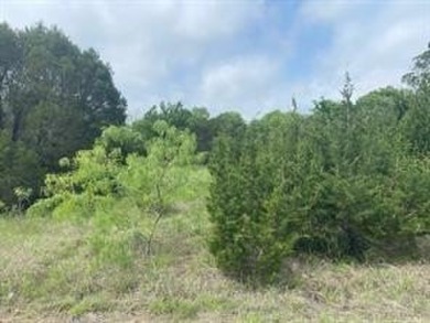 Great level lot, once trees cleared would have a view of the on White Bluff Resort - New Course in Texas - for sale on GolfHomes.com, golf home, golf lot