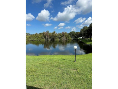 Welcome to Paradise! Paradise island is a 55+ active community on Fairway Village Golf Course in Florida - for sale on GolfHomes.com, golf home, golf lot