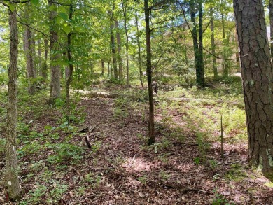 This lot has a near level building area located on a rise given on Ponce De Leon Golf Course in Arkansas - for sale on GolfHomes.com, golf home, golf lot