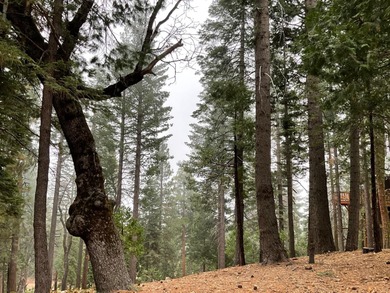 This is the best parcel to build your dream cabin.  This large on Sequoia Woods Country Club in California - for sale on GolfHomes.com, golf home, golf lot