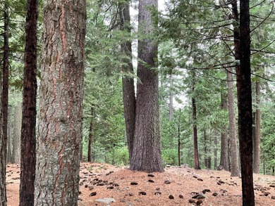 This is the best parcel to build your dream cabin.  This large on Sequoia Woods Country Club in California - for sale on GolfHomes.com, golf home, golf lot