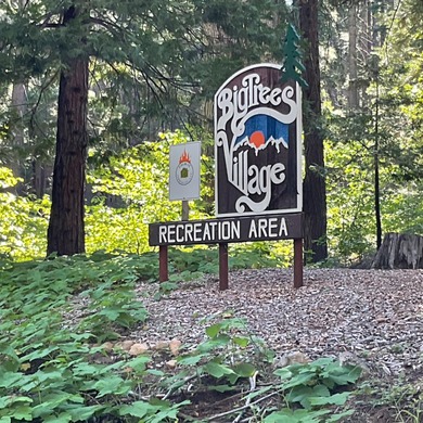 This is the best parcel to build your dream cabin.  This large on Sequoia Woods Country Club in California - for sale on GolfHomes.com, golf home, golf lot