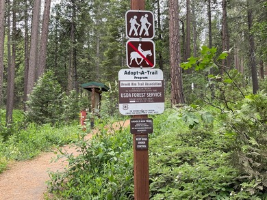 This is the best parcel to build your dream cabin.  This large on Sequoia Woods Country Club in California - for sale on GolfHomes.com, golf home, golf lot