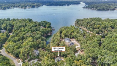 Step into Lake Wylie's finest living with a waterfront home that on The Palisades Country Club in North Carolina - for sale on GolfHomes.com, golf home, golf lot
