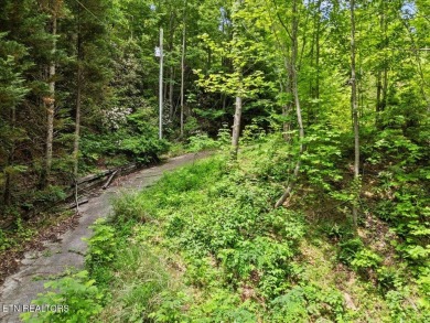 Build your dream mountain getaway in prestigious Cobbly Nob, one on Bent Creek Golf Course in Tennessee - for sale on GolfHomes.com, golf home, golf lot