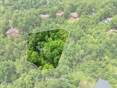 Build your dream mountain getaway in prestigious Cobbly Nob, one on Bent Creek Golf Course in Tennessee - for sale on GolfHomes.com, golf home, golf lot