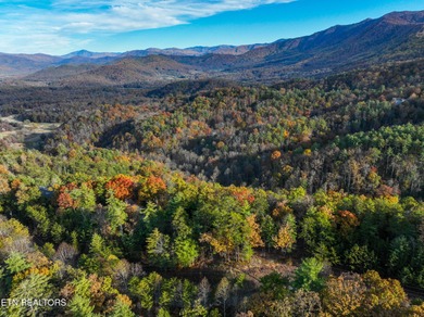 RARE LOT - MOUNTAIN VIEWS - LARGE PROPERTY - A rare 2.45-acre on Laurel Valley Golf Course in Tennessee - for sale on GolfHomes.com, golf home, golf lot