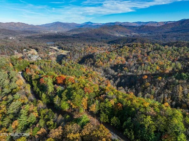 RARE LOT - MOUNTAIN VIEWS - LARGE PROPERTY - A rare 2.45-acre on Laurel Valley Golf Course in Tennessee - for sale on GolfHomes.com, golf home, golf lot