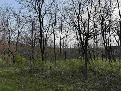 How about building on a golf course in the Galena Territory? on Eagle Ridge Inn and Resort in Illinois - for sale on GolfHomes.com, golf home, golf lot