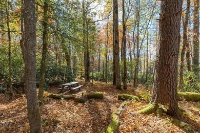 A spectacular homesite is available in High Hampton! Located in on High Hampton Inn and Country Club in North Carolina - for sale on GolfHomes.com, golf home, golf lot