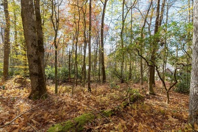 A spectacular homesite is available in High Hampton! Located in on High Hampton Inn and Country Club in North Carolina - for sale on GolfHomes.com, golf home, golf lot
