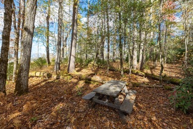 A spectacular homesite is available in High Hampton! Located in on High Hampton Inn and Country Club in North Carolina - for sale on GolfHomes.com, golf home, golf lot