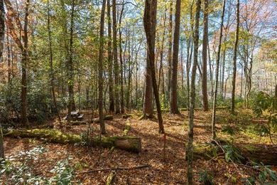 A spectacular homesite is available in High Hampton! Located in on High Hampton Inn and Country Club in North Carolina - for sale on GolfHomes.com, golf home, golf lot