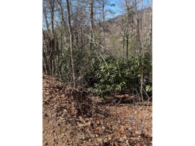 AFFORDABLE build lots... 2 LOTS sold together w/seasonal views on Bent Creek Golf Course in Tennessee - for sale on GolfHomes.com, golf home, golf lot