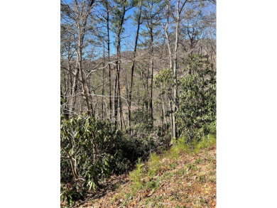 AFFORDABLE build lots... 2 LOTS sold together w/seasonal views on Bent Creek Golf Course in Tennessee - for sale on GolfHomes.com, golf home, golf lot