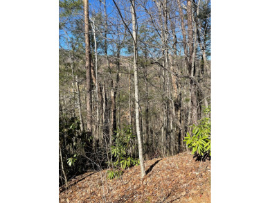 AFFORDABLE build lots... 2 LOTS sold together w/seasonal views on Bent Creek Golf Course in Tennessee - for sale on GolfHomes.com, golf home, golf lot