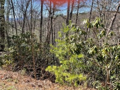 AFFORDABLE build lots... 2 LOTS sold together w/seasonal views on Bent Creek Golf Course in Tennessee - for sale on GolfHomes.com, golf home, golf lot