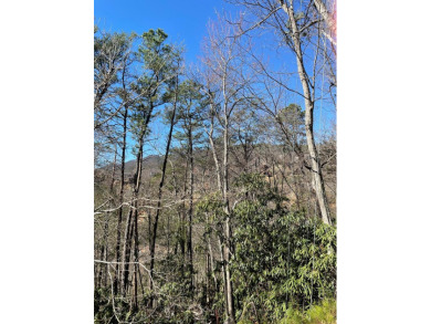 AFFORDABLE build lots... 2 LOTS sold together w/seasonal views on Bent Creek Golf Course in Tennessee - for sale on GolfHomes.com, golf home, golf lot