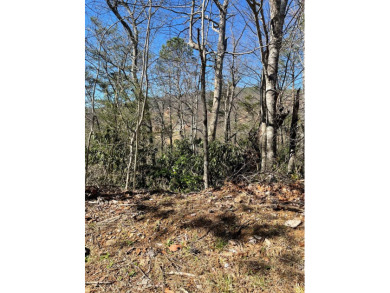 AFFORDABLE build lots... 2 LOTS sold together w/seasonal views on Bent Creek Golf Course in Tennessee - for sale on GolfHomes.com, golf home, golf lot