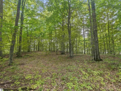 Create your perfect home on a stunning lot within the on Champion Hill Golf Club in Michigan - for sale on GolfHomes.com, golf home, golf lot